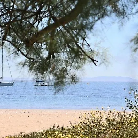 Apartment Le Rivage - A 50m De La Des Salins - Piscine Hyeres